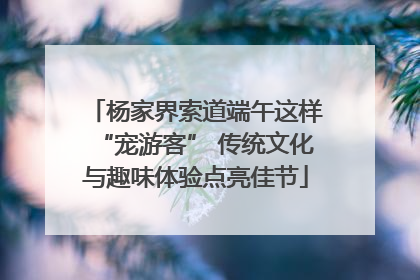 杨家界索道端午这样“宠游客” 传统文化与趣味体验点亮佳节