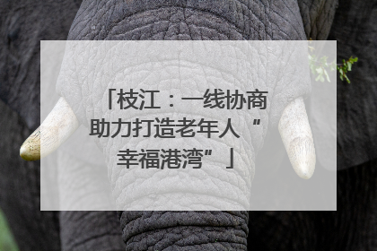枝江：一线协商助力打造老年人“幸福港湾”