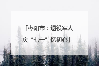 枣阳市：退役军人庆“七一”忆初心