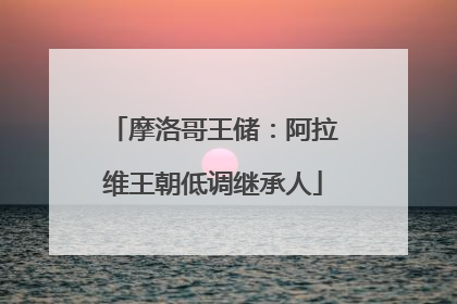 摩洛哥王储：阿拉维王朝低调继承人