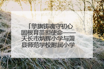 擎旗铸魂守初心 固根育苗担使命——天长市炳辉小学与萧县师范学校附属小学结对共建活动纪实