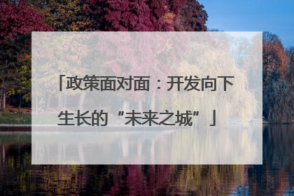政策面对面：开发向下生长的“未来之城”