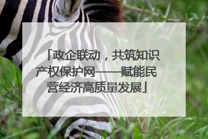 政企联动，共筑知识产权保护网——赋能民营经济高质量发展