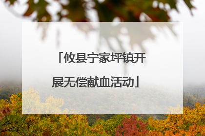攸县宁家坪镇开展无偿献血活动
