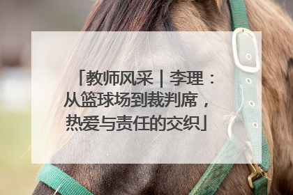 教师风采｜李理：从篮球场到裁判席，热爱与责任的交织