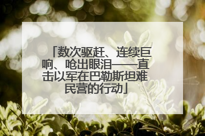 数次驱赶、连续巨响、呛出眼泪——直击以军在巴勒斯坦难民营的行动