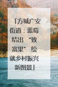 方城广安街道：蓝莓结出 “致富果” 绘就乡村振兴新图景