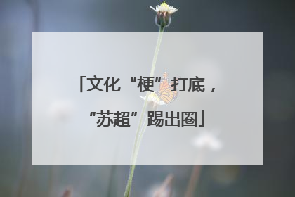 文化“梗”打底，“苏超”踢出圈