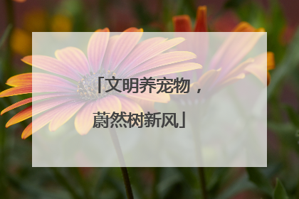 文明养宠物,蔚然树新风