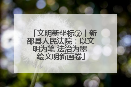 文明新坐标②丨新邵县人民法院：以文明为笔 法治为墨 绘文明新画卷