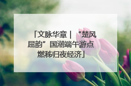 文脉华章｜“楚风屈韵”国潮端午游点燃秭归夜经济