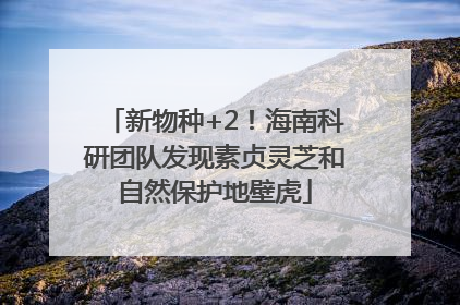新物种+2！海南科研团队发现素贞灵芝和自然保护地壁虎