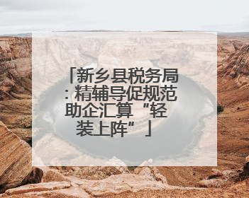新乡县税务局：精辅导促规范 助企汇算“轻装上阵”