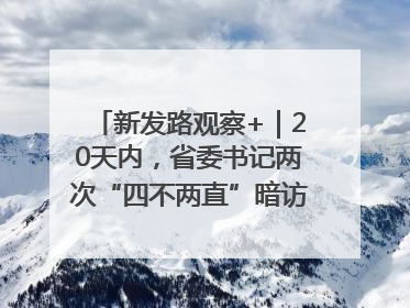 新发路观察+｜20天内，省委书记两次“四不两直”暗访，有何深意？
