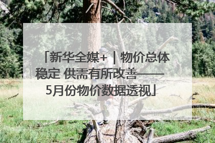 新华全媒+｜物价总体稳定 供需有所改善——5月份物价数据透视