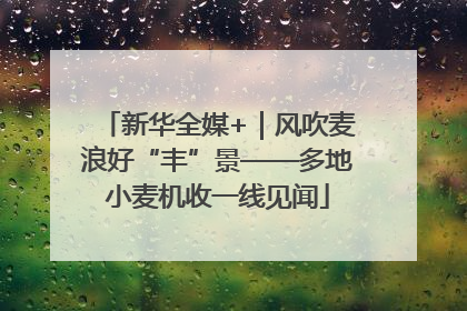新华全媒+｜风吹麦浪好“丰”景——多地小麦机收一线见闻