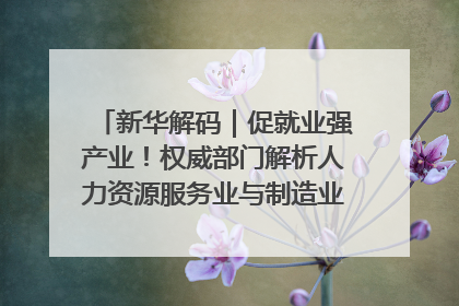 新华解码｜促就业强产业！权威部门解析人力资源服务业与制造业融合发展试点