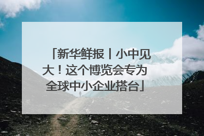 新华鲜报丨小中见大！这个博览会专为全球中小企业搭台