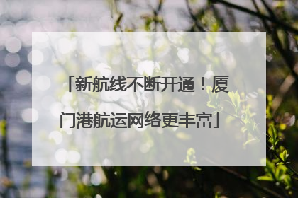 新航线不断开通！厦门港航运网络更丰富