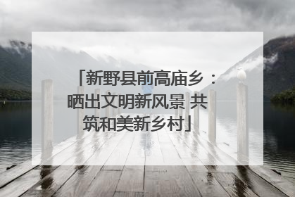 新野县前高庙乡：晒出文明新风景 共筑和美新乡村