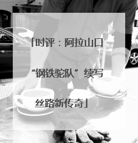 时评：阿拉山口“钢铁驼队”续写丝路新传奇