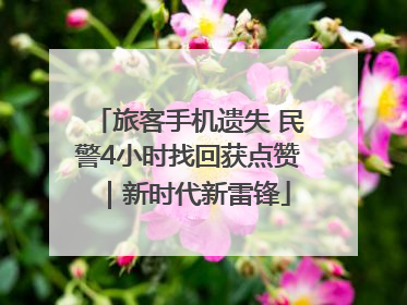 旅客手机遗失 民警4小时找回获点赞｜新时代新雷锋