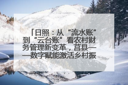 日照：从“流水账”到“云台账”看农村财务管理新变革，莒县——数字赋能激活乡村振兴“一池春水”