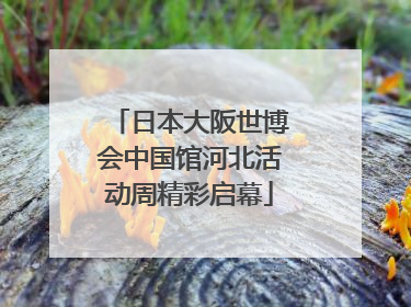 日本大阪世博会中国馆河北活动周精彩启幕