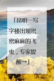 昆明一写字楼出现密密麻麻的飞虫，专家提醒→