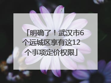 明确了！武汉市6个远城区享有这12个事项定价权限
