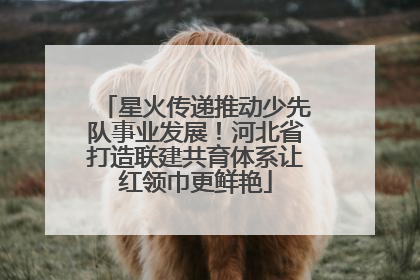 星火传递推动少先队事业发展！河北省打造联建共育体系让红领巾更鲜艳