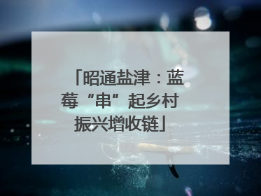 昭通盐津：蓝莓“串”起乡村振兴增收链