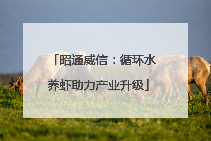 昭通威信：循环水养虾助力产业升级