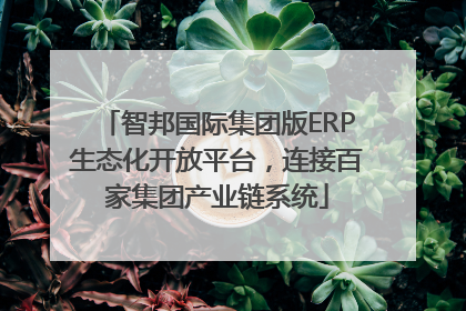 智邦国际集团版ERP生态化开放平台，连接百家集团产业链系统