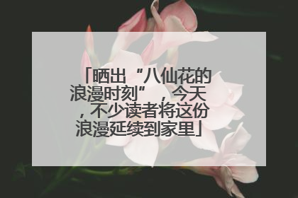 晒出“八仙花的浪漫时刻”，今天，不少读者将这份浪漫延续到家里