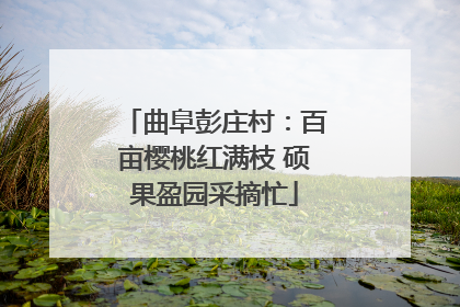曲阜彭庄村：百亩樱桃红满枝 硕果盈园采摘忙