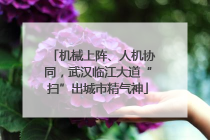 机械上阵、人机协同，武汉临江大道“扫”出城市精气神