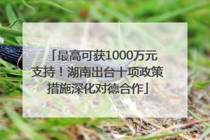 最高可获1000万元支持！湖南出台十项政策措施深化对德合作