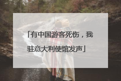 有中国游客死伤，我驻意大利使馆发声