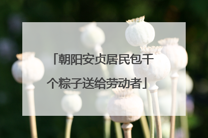 朝阳安贞居民包千个粽子送给劳动者