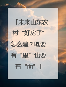 未来山东农村“好房子”怎么建？既要有“里”也要有“面”