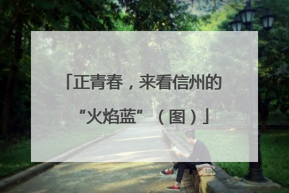 正青春，来看信州的“火焰蓝”（图）