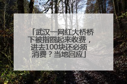 武汉一网红大桥桥下被指圈起来收费，进去100块还必须消费？当地回应