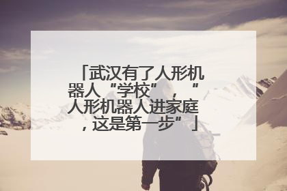 武汉有了人形机器人“学校”，“人形机器人进家庭，这是第一步”