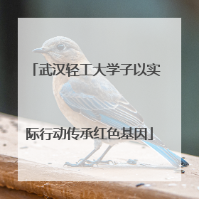 武汉轻工大学子以实际行动传承红色基因