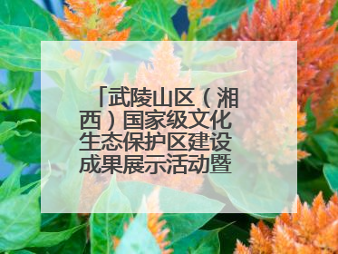 武陵山区（湘西）国家级文化生态保护区建设成果展示活动暨龙山县第十届舍巴日即将启幕