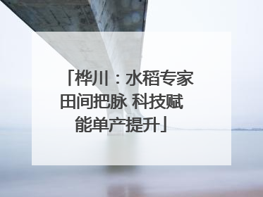 桦川：水稻专家田间把脉 科技赋能单产提升