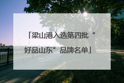 梁山港入选第四批“好品山东”品牌名单