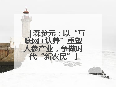 森参元：以“互联网+认养”重塑人参产业，争做时代“新农民”