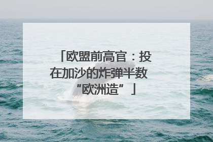 欧盟前高官：投在加沙的炸弹半数“欧洲造”
